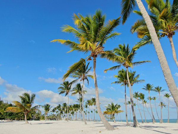 Où pratiquer le snorkeling au milieu des raies manta à Hawaii ?